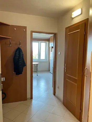 Prodej bytu 1+1, Mladá Boleslav, Zalužanská, 33 m2