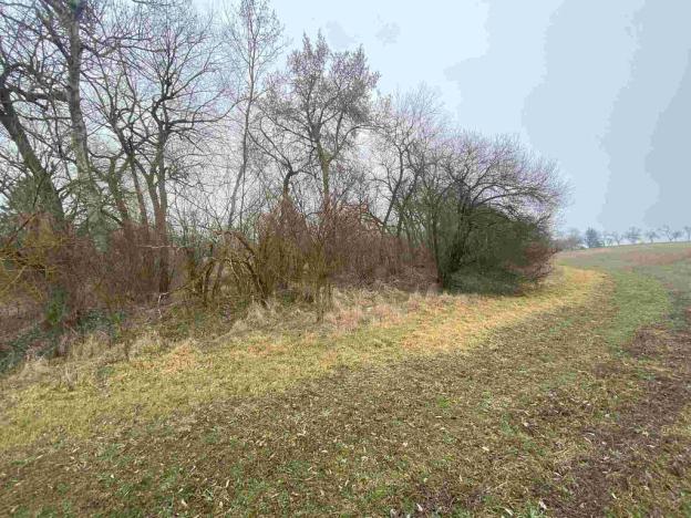 Prodej pozemku, Písečné - Marketa, 1097 m2