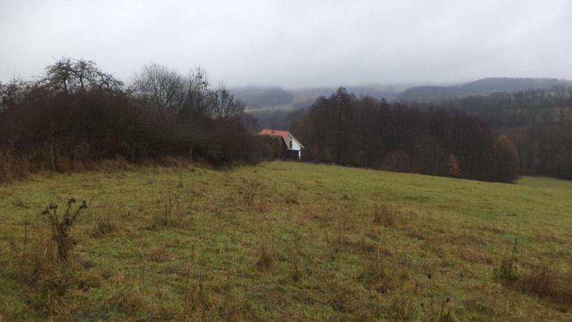 Prodej pole, Lovečkovice, 21494 m2