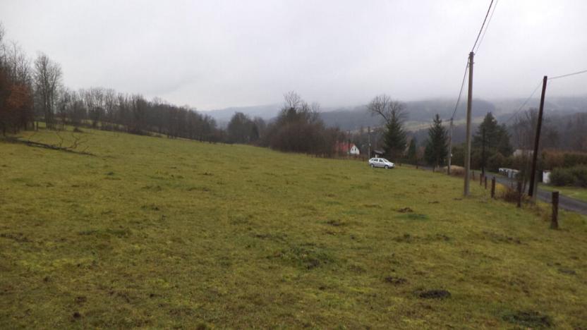 Prodej pole, Lovečkovice, 21494 m2