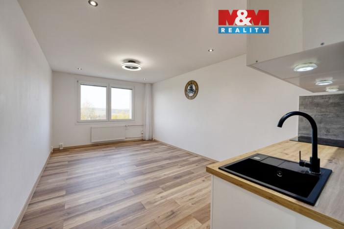 Prodej bytu 1+kk, Horní Bříza, U Vrbky, 25 m2