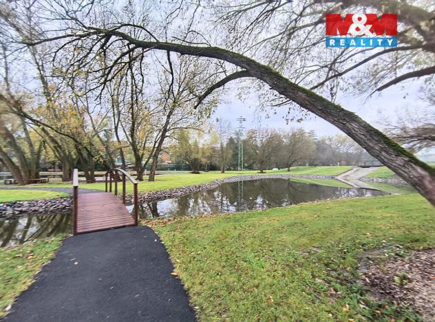 Pronájem bytu 1+kk, Slaný, Lázeňská, 35 m2