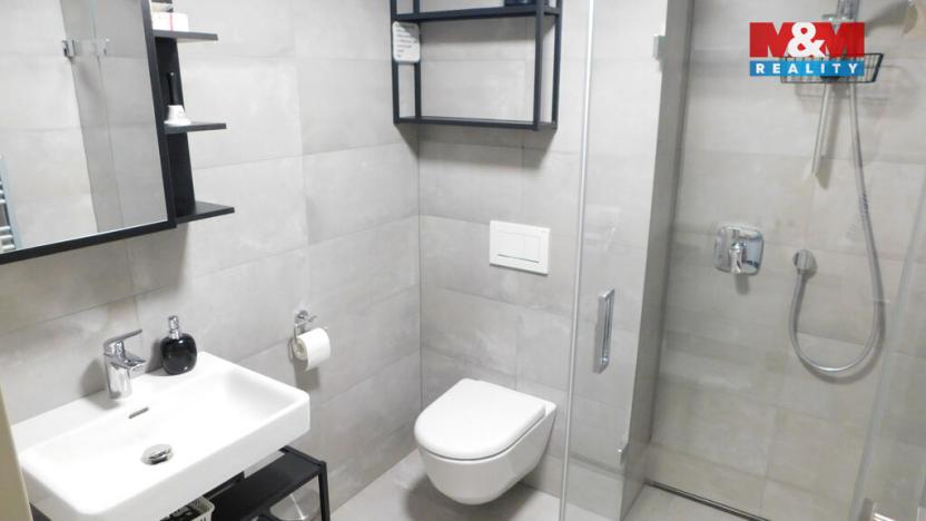 Pronájem bytu 1+kk, Janov nad Nisou, 25 m2