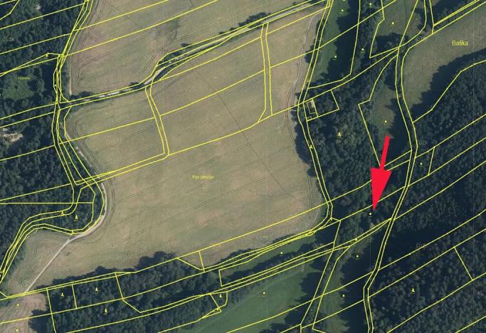 Prodej lesa, Baška, 2609 m2