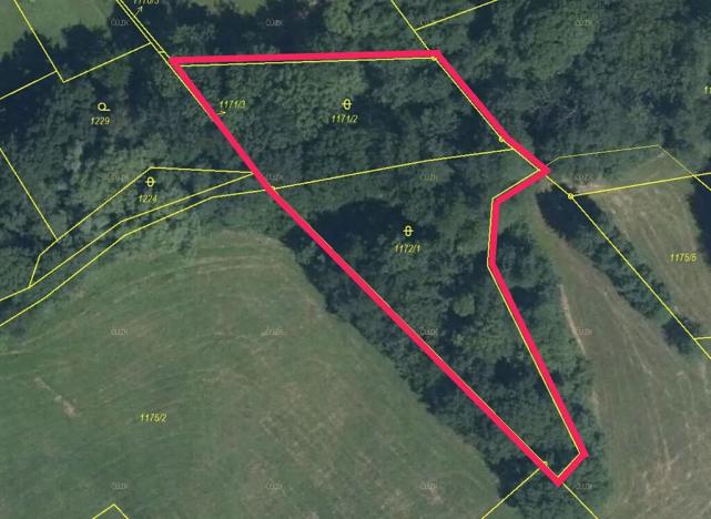 Prodej lesa, Český Těšín, 3156 m2