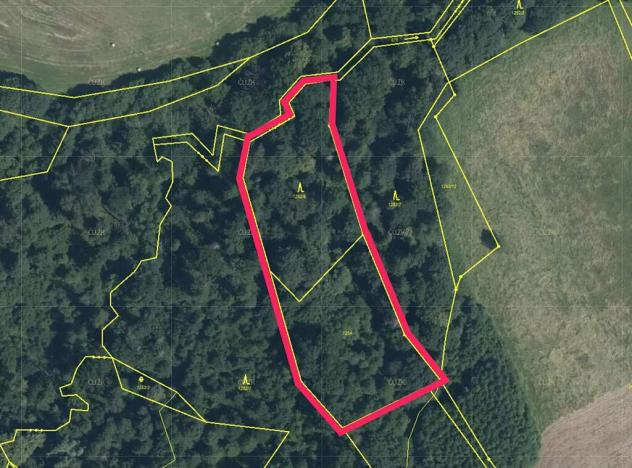 Prodej lesa, Český Těšín, 6540 m2