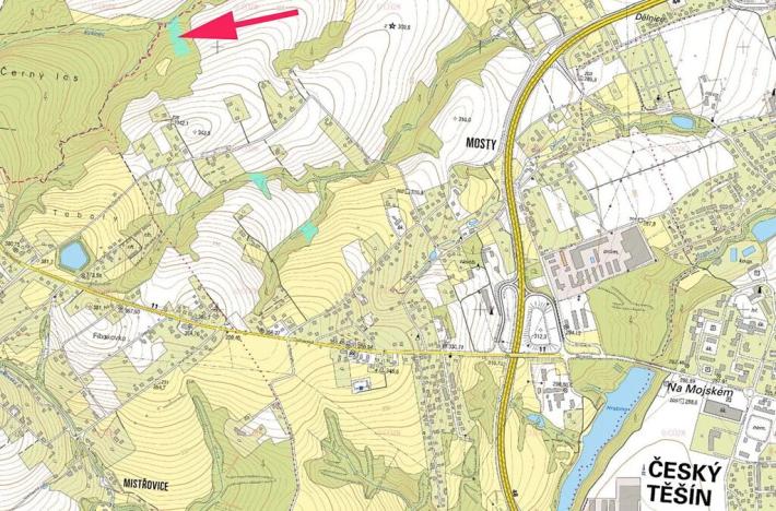 Prodej lesa, Český Těšín, 6540 m2