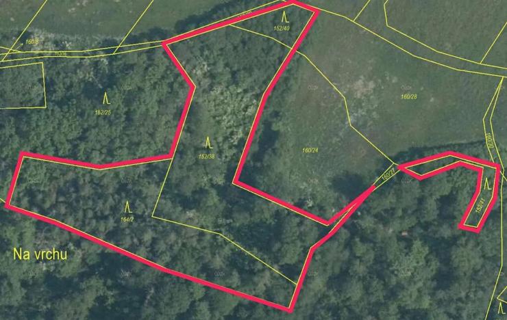 Prodej lesa, Ždírec, 5322 m2