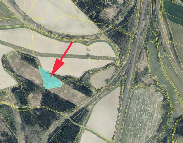 Prodej pole, Česká Třebová, 8125 m2