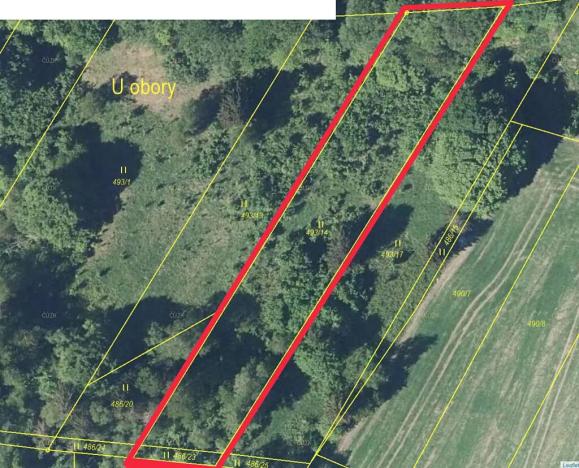 Prodej louky, Nový Hrádek, 2887 m2