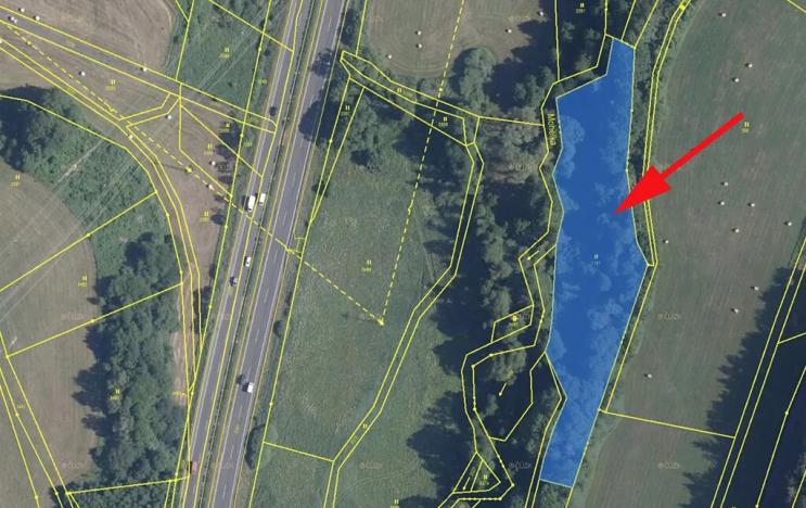 Prodej louky, Žďárek, 5590 m2