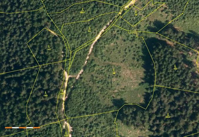 Prodej lesa, Lhota u Vsetína, 12578 m2