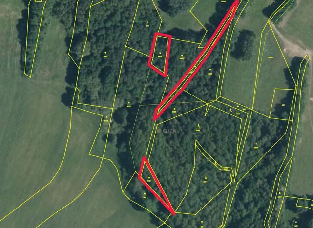 Prodej lesa, Stružnice, 2051 m2