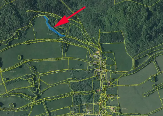 Prodej lesa, Kozly, 3340 m2