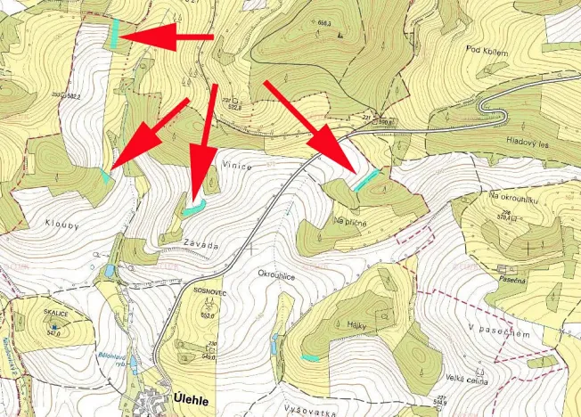 Prodej lesa, Úlehle, 3744 m2