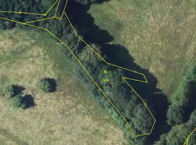 Prodej lesa, Stvolínky, 1713 m2