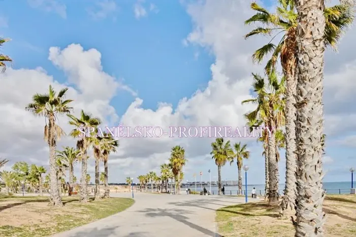 Prodej vily, Orihuela, Španělsko, 80 m2