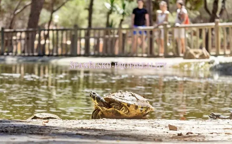 Prodej bytu 2+kk, Guardamar del Segura, Španělsko, 50 m2