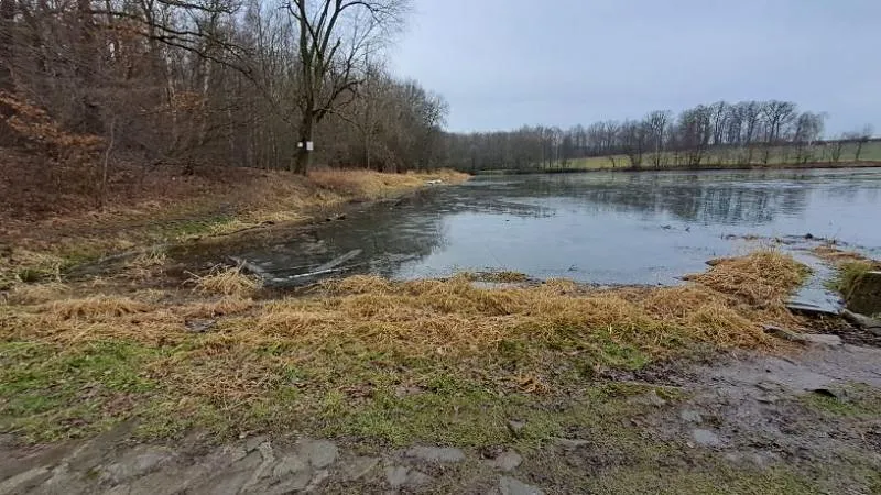 Prodej rybníku, Ostrava, 13195 m2