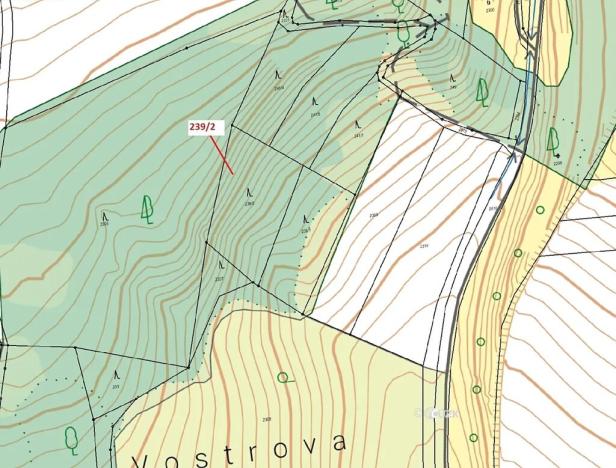 Dražba lesa, Jenišovice, 2305 m2