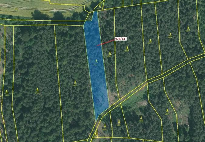 Dražba lesa, Milavče, 2762 m2