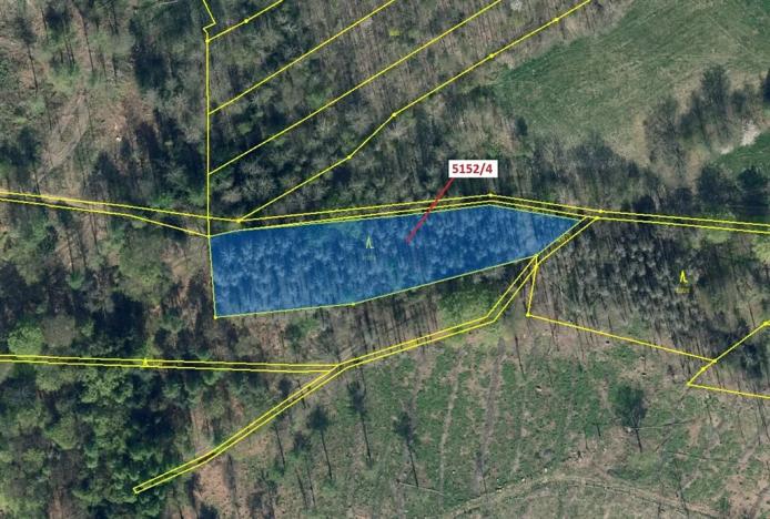 Dražba lesa, Mikulášovice, 3638 m2