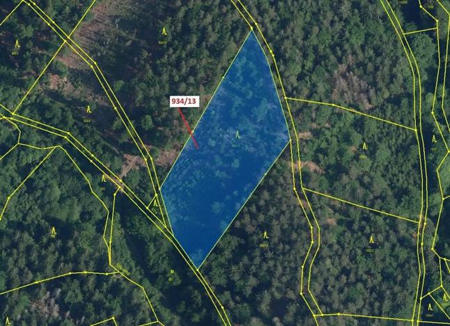 Dražba lesa, Jílové u Držkova, 6213 m2