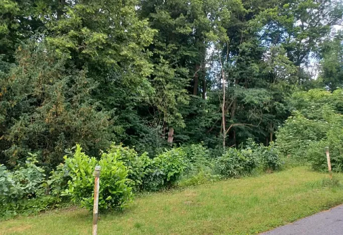 Dražba pozemku, Děčín, 2255 m2