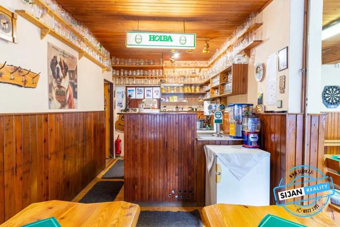 Prodej chalupy, Ludvíkov, 510 m2