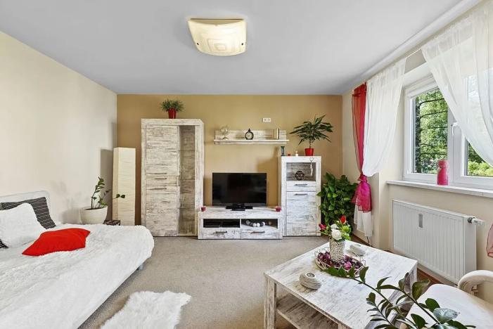 Pronájem bytu 1+1, Kladno, Vodárenská, 30 m2