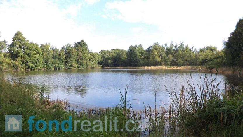 Prodej pozemku, Slavonice - Maříž, 1919 m2