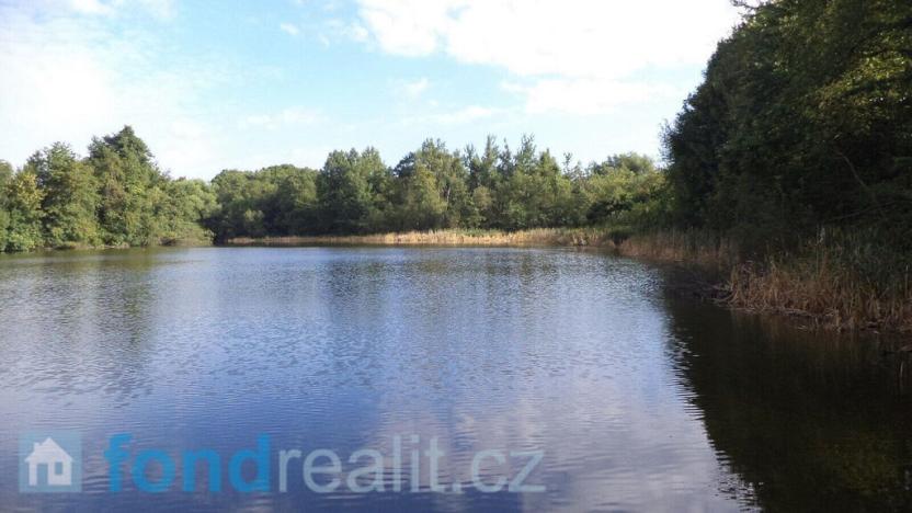 Prodej pozemku, Slavonice - Maříž, 1919 m2