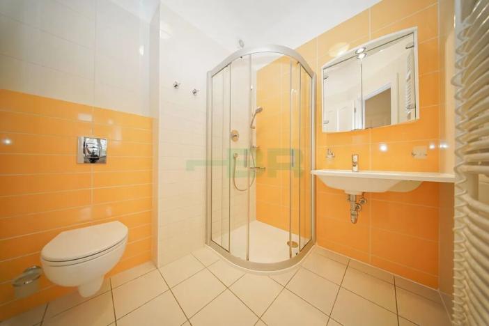 Pronájem bytu 4+kk, Praha - Vinohrady, 104 m2