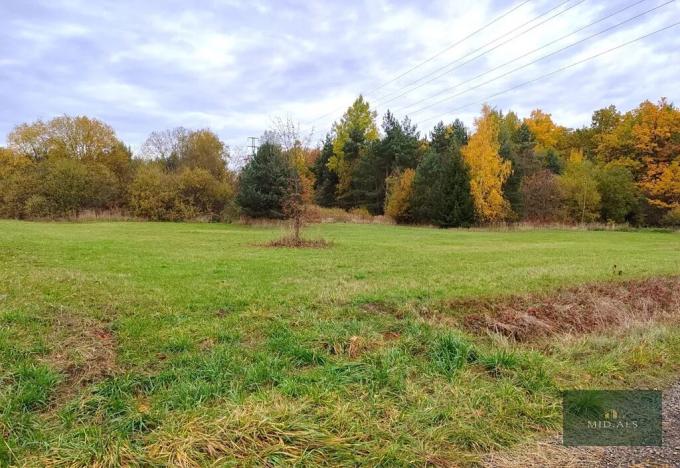 Prodej louky, Rokycany, K Lopatárně, 4651 m2