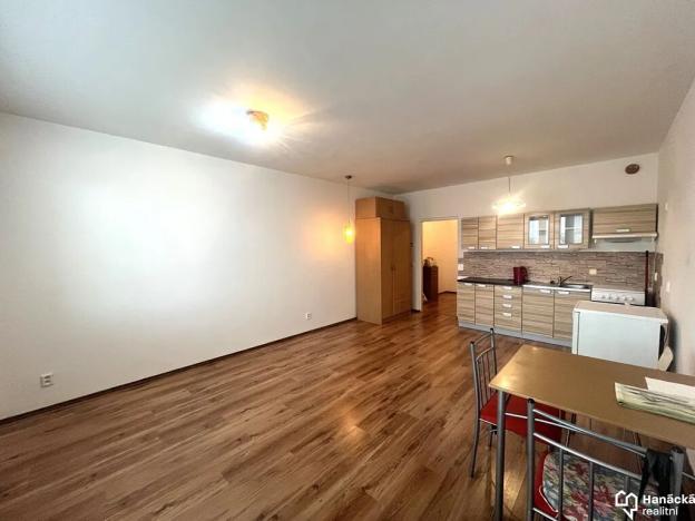 Pronájem bytu 1+kk, Olomouc, Družební, 30 m2
