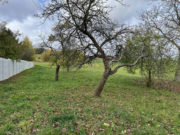 Prodej rodinného domu, Hvozd, 90 m2