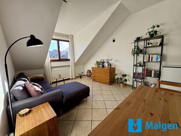 Pronájem bytu 2+kk, Praha - Bubeneč, U akademie, 40 m2