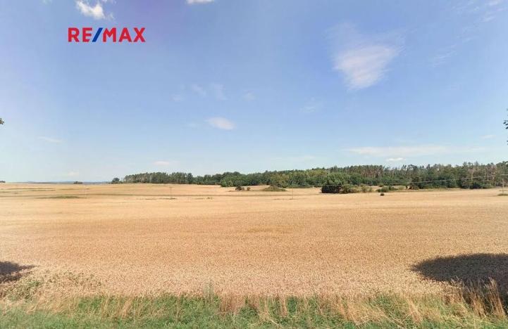 Prodej pole, Chornice, 11593 m2