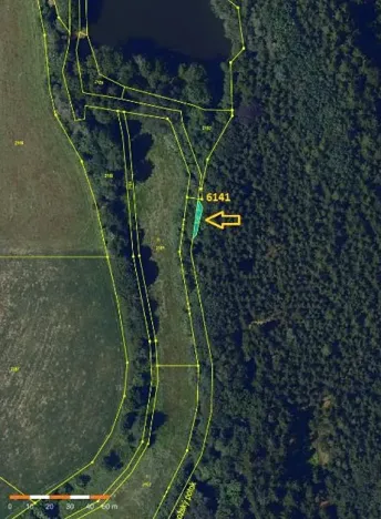 Prodej lesa, Tis, 906 m2