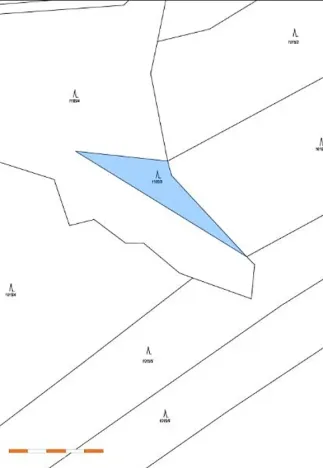 Prodej lesa, Tis, 974 m2