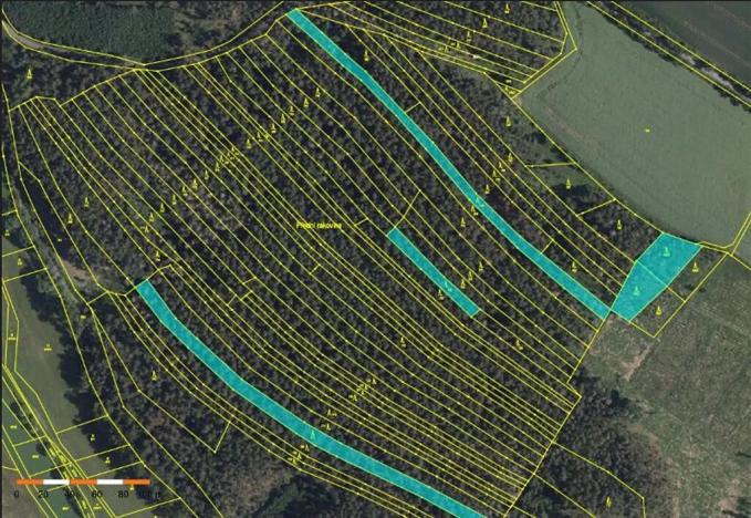 Prodej lesa, Dolní Vilémovice, 9629 m2