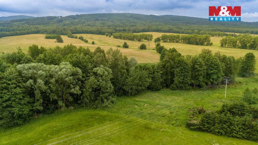 Prodej louky, Dětřichov, 4178 m2