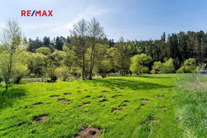 Prodej pozemku, Vlastějovice, 2100 m2