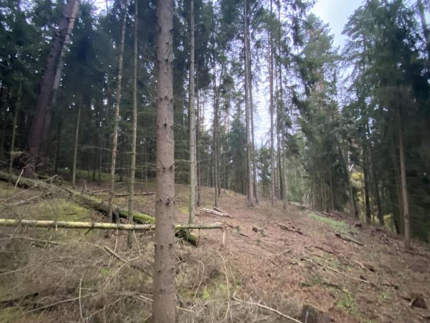 Prodej lesa, Srbice - Těšovice, 3279 m2