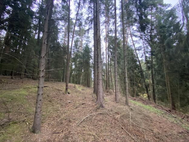 Prodej lesa, Srbice - Těšovice, 3279 m2