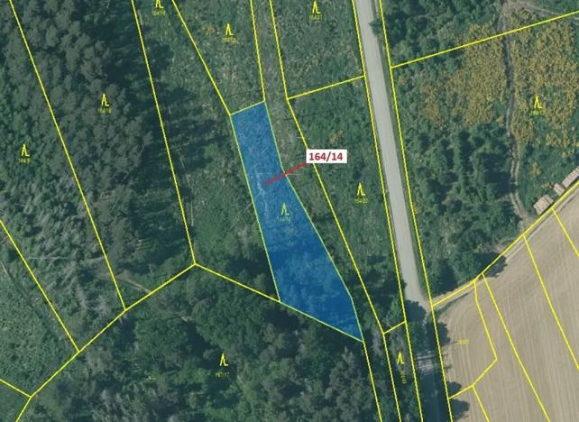 Dražba lesa, Budíškovice, 1580 m2