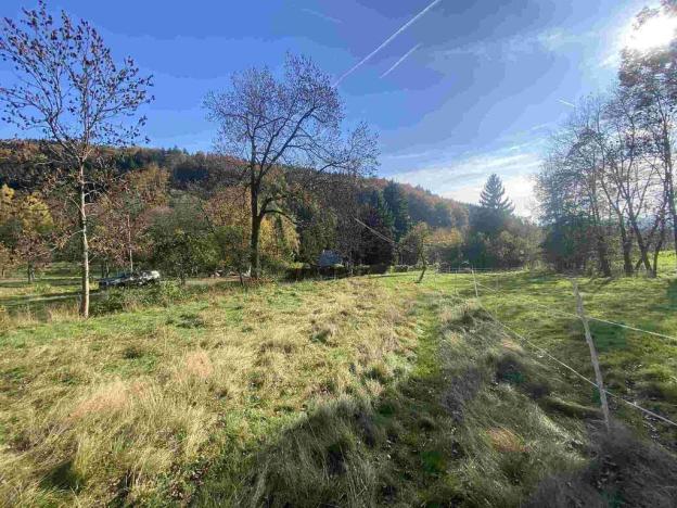 Prodej pole, Zdislava, 1384 m2