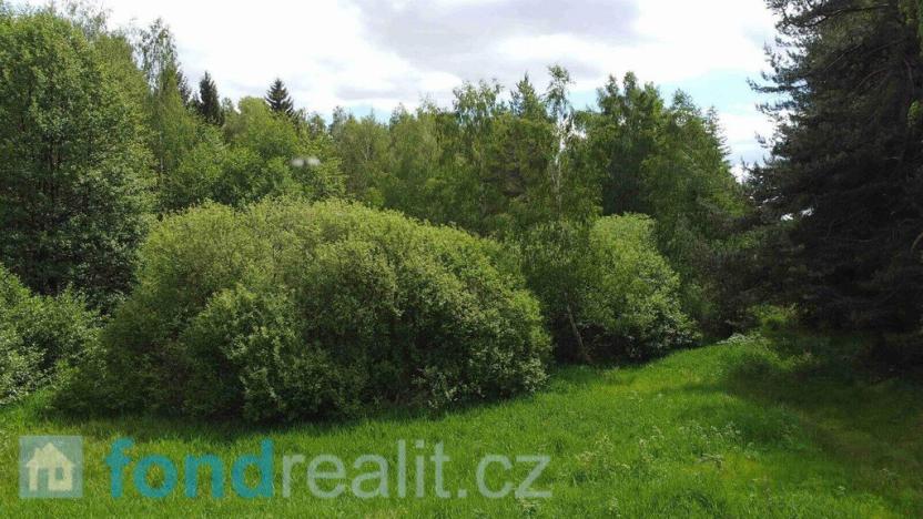 Prodej pozemku, Slavonice - Stálkov, 27662 m2