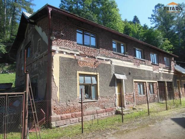 Prodej výrobních prostor, Stružinec, 10029 m2