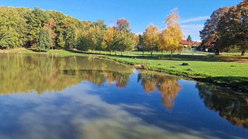 Prodej pozemku pro bydlení, Černé Voděrady, 1775 m2